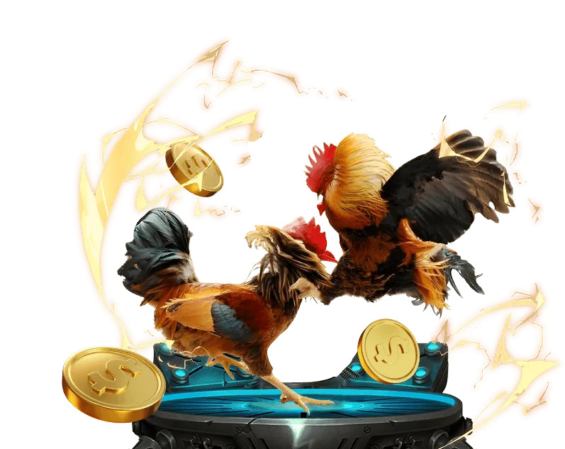 Các loại hình cá cược BD 888